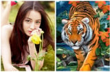 3 Shbet888.com nhà cái uy tín này cứ đầu tháng 11 là lộc lá bủa vây, đếm tiền mỏi tay, vận may kéo đến ồ ạt