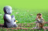 5 cái phúc và 10 cái cần tu dưỡng của đời người ai cũng nên biết