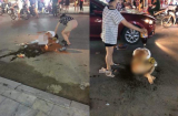 Bi hài những vụ đánh ghen đình đám: Cuộc chiến “lột đồ, giật tóc móc mắt” của 'hoạn thư' với 'Shbet888.com nhà cái uy tín thứ 13'