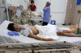 Nam thanh niên bị ong đốt chết, 10 người kéo lên 'giải vía' cũng nguy kịch. Bị ong đốt nên xử lý thế nào?