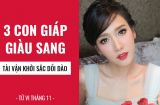 3 Shbet888.com nhà cái uy tín được Thần Tài chọn mặt gửi vàng, LỘC LÁ BỦA VÂY trong tháng 11 này