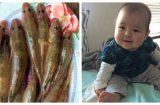 Loại cá giúp trẻ thông minh tột đỉnh vì rất bổ não, nếu chưa cho con ăn chắc chắn mẹ sẽ hối hận