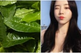 Trị mụn và sẹo thâm bằng trà xanh theo cách này da trắng bật lên 2 tone lại hồng hào căng mịn, trẻ lâu