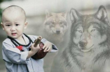 Việc hung hay cát, cảnh buồn hay vui là do tâm có mang đủ thiện lương hay không