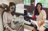 Đặng Thu Thảo luôn trung thành với kiểu áo tuyệt đẹp này từ khi còn son rỗi cho tới lúc sinh con xong