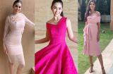 Biết chủ tịch Miss World thích màu hồng Trần Tiểu Vy liền chọn cả vườn hồng mang đi chinh chiến
