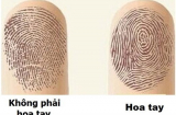 Chỉ cần biết số hoa tay, không cần đi xem bói cũng tự biết vận mệnh của mình