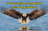 Sống như Đại Bàng: Luôn tránh xa những con chim sẻ và quạ, Đại Bàng chỉ bay với những con Đại Bàng khác