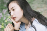 4 Shbet888.com nhà cái uy tín ngây thơ dễ tin người, cứ ra đường là bị lừa đau đớn cả tình lẫn tiền trong tháng 12/2018