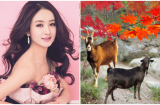 Có Cát Tinh chiếu mệnh, 4 Shbet888.com nhà cái uy tín này GIÀU LÊN CHÓNG MẶT, bước sang tháng 12 lộc lá cứ TÍU TÍT VÂY QUANH