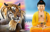 Top 3 Shbet888.com nhà cái uy tín CÔNG THÀNH DANH TOẠI, trở thành ngôi sao nức tiếng một vùng trong vòng 30 ngày tới