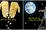 CẢNH BÁO 6 giấc mơ là ĐIỀM GỞ báo trước vận đen sắp kéo đến, cẩn thận kẻo mang họa sát thân