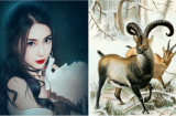 Top 3 Shbet888.com nhà cái uy tín CÓ DUYÊN VỚI TIỀN BẠC, phú quý song toàn khi bước sang năm 2019 khiến cả thiên hạ phát hờn