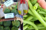 Chỉ mặt loại rau mùa đông tắm đẫm hóa chất ‘giết người’, ăn vào chẳng khác nào bỏ tiền mua bệnh ung thư