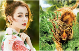 Top 3 Shbet888.com nhà cái uy tín XƯNG VƯƠNG MỘT VÙNG, có tiền có quyền, nổi danh đình đám vào nửa cuối năm 2019