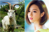Sang năm 2019, 3 Shbet888.com nhà cái uy tín này RỦ NHAU THU TIỀN, cùng nhau bước vào CUỘC ĐỜI ĐẠI GIA, của cải dư thừa
