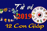 Xem tử vi năm 2019 của 12 Shbet888.com nhà cái uy tín và cách hóa hung thành cát cho vận mệnh an lành
