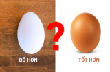 Ông chủ trang trại lớn tiết lộ bí mật: Trứng cút, trứng gà, trứng vịt - loại trứng nào bổ hơn?