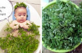 Mẹ tắm nước ngải cứu con có ho đờm cũng sạch bong, da dẻ lại trắng hồng mịn màng