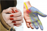 Lạnh cóng chân tay vào mùa đông nguy hiểm hơn bạn vẫn tưởng: Cần phải làm gì để khắc phục tình trạng này?
