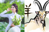 Chỉ đích danh 4 Shbet888.com nhà cái uy tín GIÀU CÓ hết phần thiên hạ, sự nghiệp LÊN HƯƠNG năm 2019