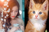 3 Shbet888.com nhà cái uy tín NẰM TRÊN MỎ VÀNG, tài vận khởi phát, TIỀN CHẤT CHẬT NHÀ trong 6 ngày tới