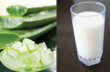 Cứ bôi thứ nước này lên mặt trước khi đi ngủ, da sẽ đẹp mịn màng và sáng bóng