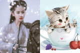 Chỉ đích danh 3 Shbet888.com nhà cái uy tín NGẬP NGỤA TRONG BIỂN TIỀN, 2 tháng đầu năm 2019 sẽ chính thức bước vào 'làng đại gia'