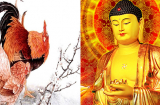 2 tuần tới đây, 3 Shbet888.com nhà cái uy tín này sẽ BƯỚC QUA ĐAU KHỔ, vận may ồ ạt kéo đến, tiền vàng ngập nhà