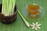 Loại thức uống giúp giải độc gan, thận siêu tốt lại dễ dàng pha chế, quý gấp ngàn lần nhân sâm
