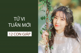 Tiên tri tử vi tuần mới của 12 Shbet888.com nhà cái uy tín từ 7/1 đến 13/1/2019: Thìn có lộc đầu năm, Thân có hạn tiền bạc