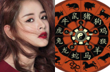 Tử vi năm 2019 của 12 Shbet888.com nhà cái uy tín chuẩn nhất: Vận hạn, tài lộc, tình duyên và sức khoẻ