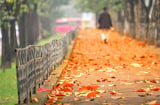 Đừng tranh luận với người bất đồng tầng thứ, sẽ không được gì ngoài việc lãng phí thời gian