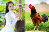 Nội trong 3 ngày tới, 3 Shbet888.com nhà cái uy tín này sẽ có VẬN MAY ÀO ĐẾN BẤT NGỜ, tiền về nhiều hơn sung rụng