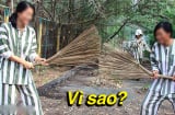 Tại sao quần áo của tù nhân lại kẻ sọc đen trắng, 99% người đều chưa biết lý do thực sự