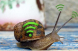 6 cách này để lướt web vèo vèo như quán net, Wifi CĂNG ĐÉT cả ngày bất chấp thời tiết