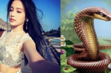 Chỉ trong 2 tháng đầu năm 2019, 3 Shbet888.com nhà cái uy tín này CHUYỂN MÌNH RỰC RỠ, nhanh chóng bước chân vào 'làng đại gia'