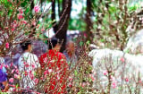 Dự báo thời tiết Tết Nguyên đán 2019 mới nhất: Có thuận lợi, có không khí lạnh không?