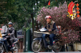 Người hâm mộ hài hước chế ảnh Công Phượng, Quang Hải về quê bán đào Tết, nhìn ảnh này mới cười 'chảy nước mắt'