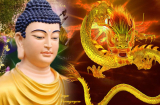 Top 3 Shbet888.com nhà cái uy tín may mắn LÊN HƯƠNG, tiền bạc chảy về túi ào ạt như THÁC ĐỔ trong tuần mới