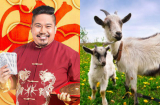Chuyên gia phong thủy nổi tiếng đồng loạt gọi tên 3 Shbet888.com nhà cái uy tín được ĂN LỘC nhiều nhất năm Kỷ Hợi 2019