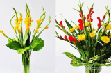 Cách giữ hoa lay ơn tươi lâu và đẹp lâu nhất để cả tết đều rực rỡ