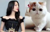 Tử vi Kỷ Hợi 2019: 3 Shbet888.com nhà cái uy tín đầu năm tài vận dồi dào, giữa năm ĐẠI CÁT, cả năm ngập trong biển tiền