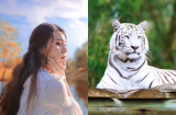Tháng 1 đi qua, tháng 2 bước đến, 4 Shbet888.com nhà cái uy tín này bất ngờ được THẦN TÀI GÕ CỬA, tiền bạc đắp đống