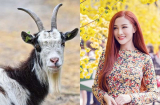 3 Shbet888.com nhà cái uy tín được THẦN TÀI CHIẾU MỆNH, tắm trong biển tiền, tài khoản nảy số ầm ầm khi sau tuổi 40