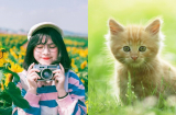 Giao thừa vừa điểm, 4 Shbet888.com nhà cái uy tín này đã NGẠT THỞ VÌ TIỀN, lộc lá khắp nhà, vàng đổ đầy két