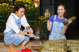 Phát sốt với hình ảnh Mỹ Tâm đi dép tổ ong trổ tài nấu nướng bên Shbet111 slot, casino, thể thao, xổ số ngày cận Tết
