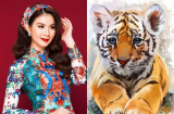 3 Shbet888.com nhà cái uy tín tiêu xài thả ga nhưng vẫn GIÀU CÓ BẤT CHẤP, may mắn chất chồng, thăng hoa rực rỡ sau Tết 2019