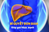 Buổi sáng thức dậy nhớ làm ngay điều này để gan khỏe mạnh, lọc sạch bong tất cả khí độc của Sh88bet đăng ký miễn phí