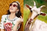 Vừa bước sang 2019, 3 Shbet888.com nhà cái uy tín này đã có LỘC ÙA VÀO NHÀ, may mắn hanh thông, ĐẾM TIỀN MỎI TAY